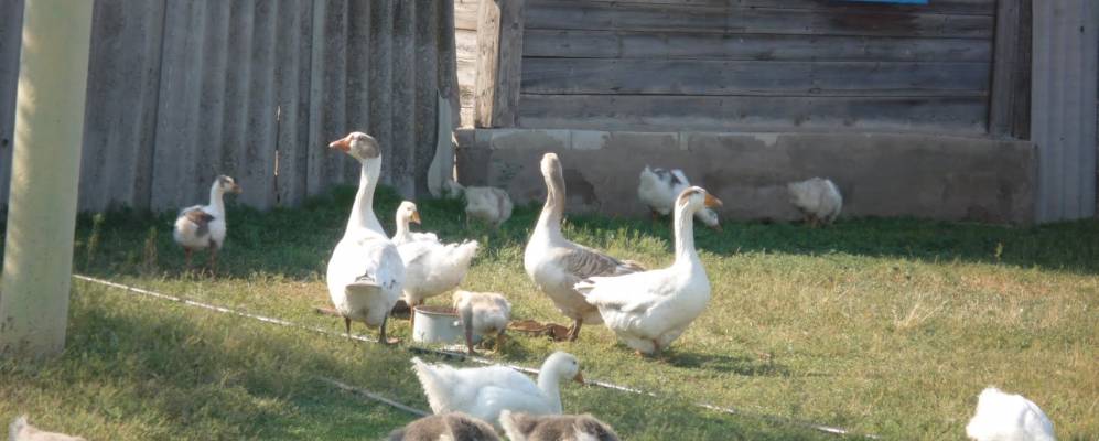 
            Фотография Северного