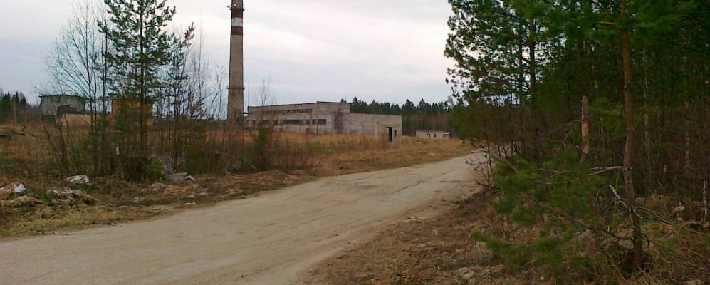 
            Фотография Лужка