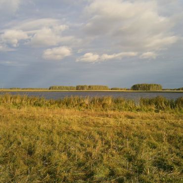 Тандов (Аул-Тандов)