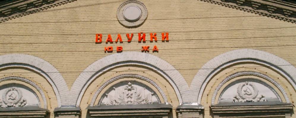 
            Фотография Лучки