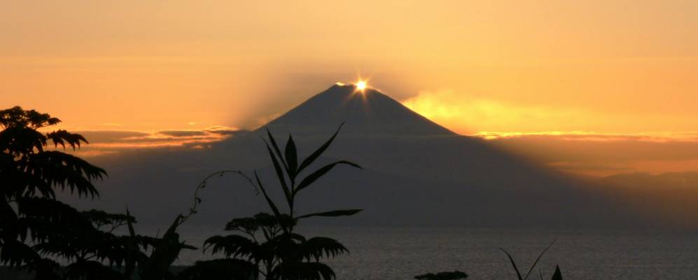 
            Фотография Миуры