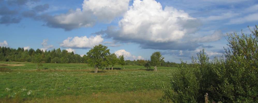 
            Фотография Оксино