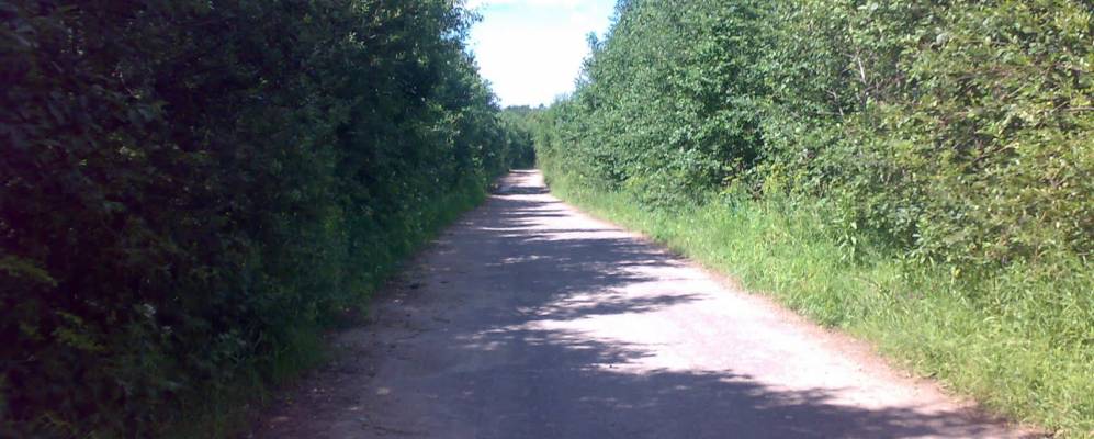 
            Фотография Мамонкино