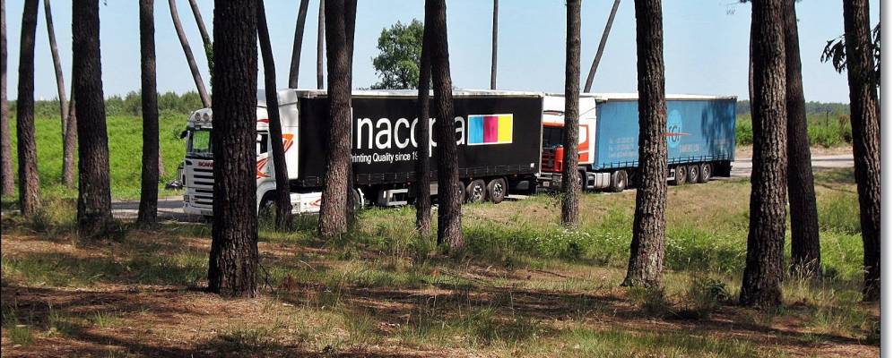 
            Фотография Мажеска