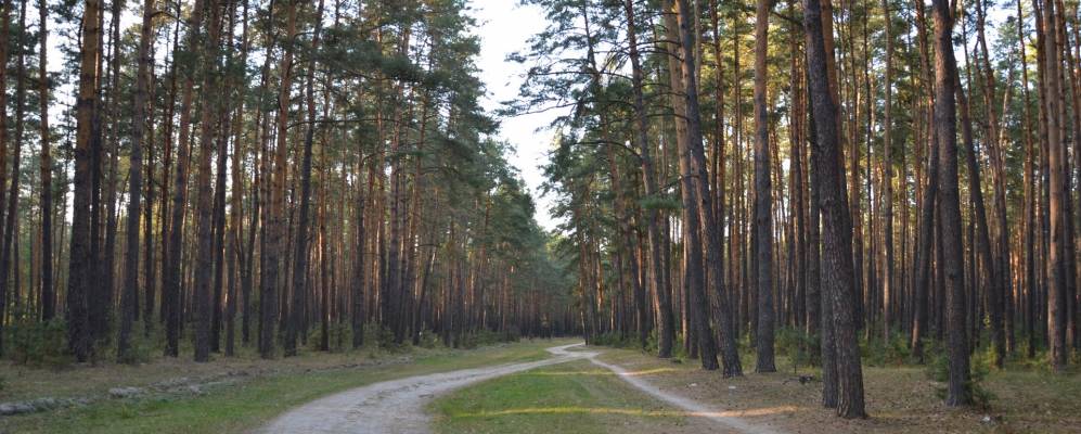 
            Фотография Полянки