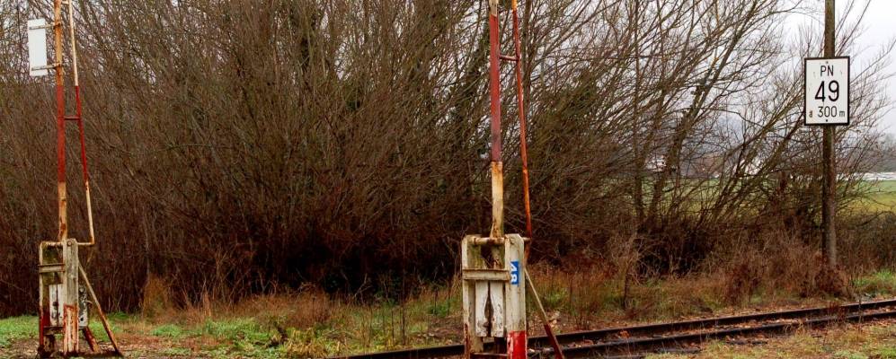 
            Фотография Акюини