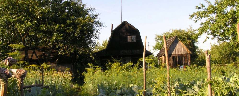 
            Фотография Денежниково