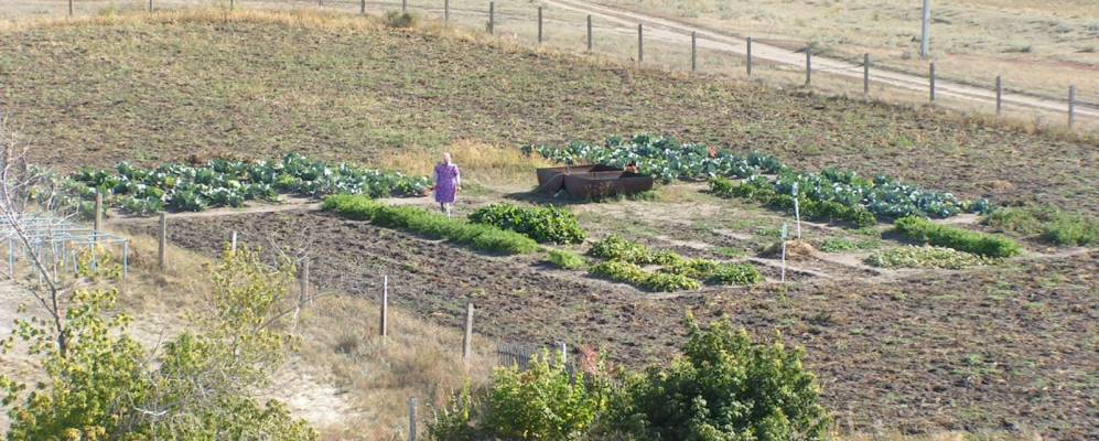 
            Фотография Андреевки