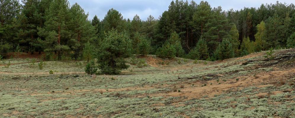 Фотография Якимовки