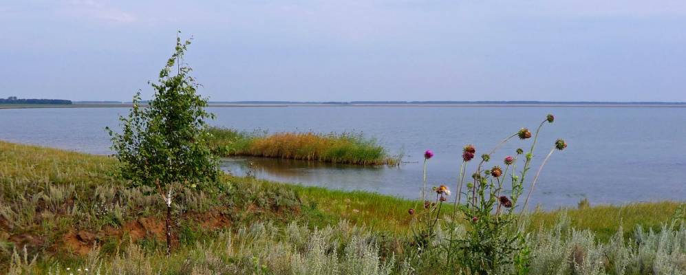 
            Фотография Водяного