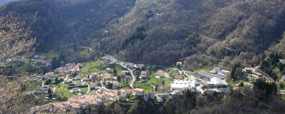 
            Фотография Плезио