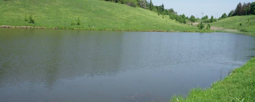 
            Фотография Рудки