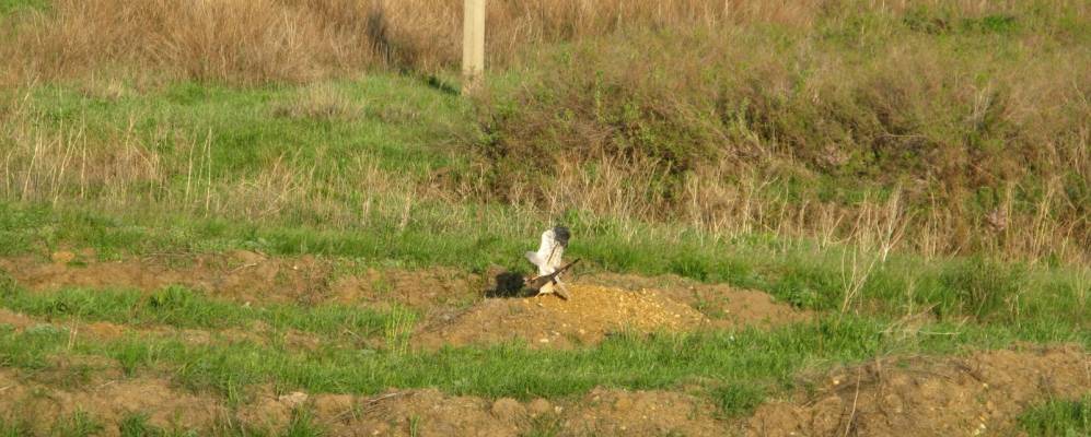 
            Фотография Ручьевки