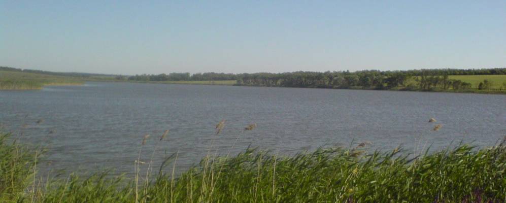 
            Фотография Русаково