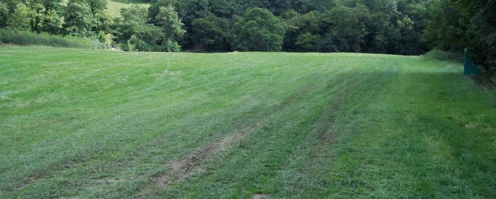 
            Фотография Лонгтауна