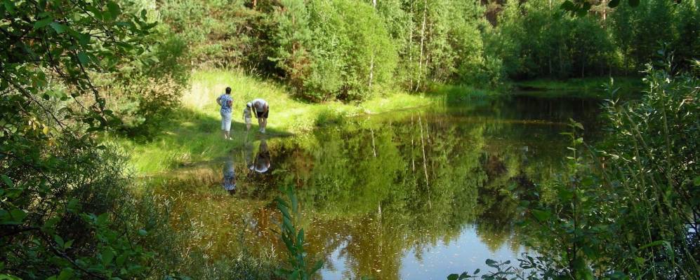 Фотография Святицы