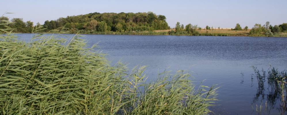 
            Фотография Кухтинского