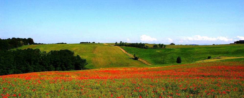 
            Фотография Табиано