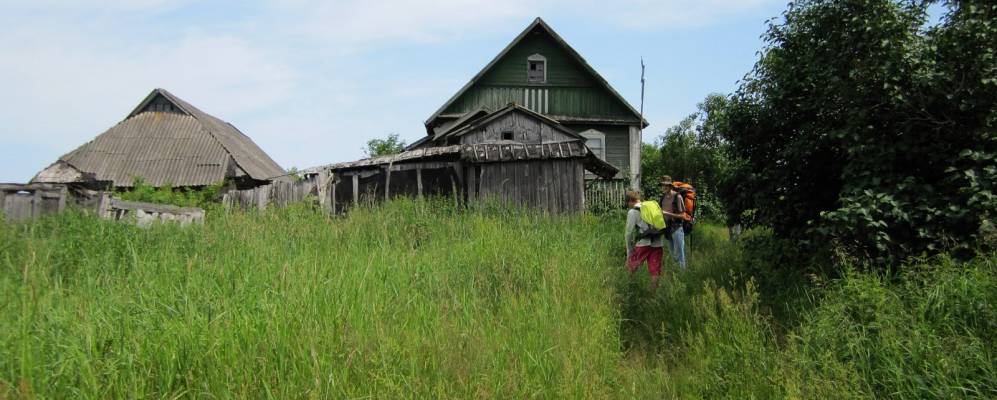 
            Фотография Дехово