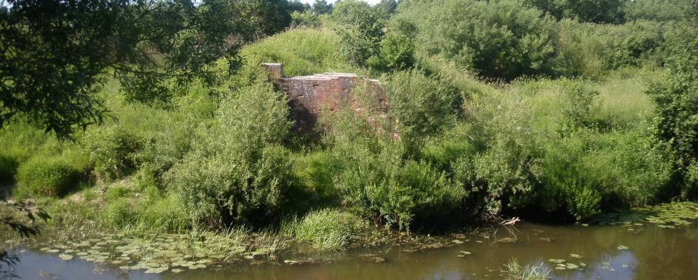 
            Фотография Краснопартизанского