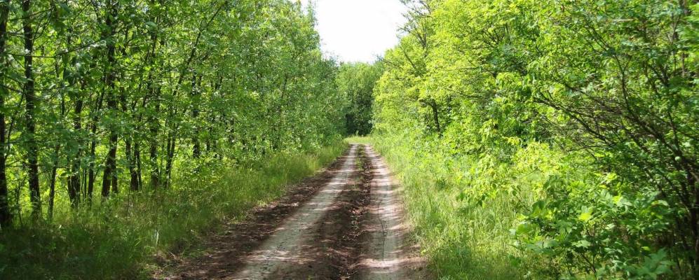 
            Фотография Западного