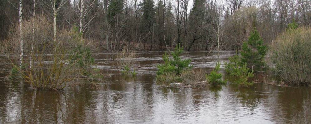 Фотография Больших Калиновичей