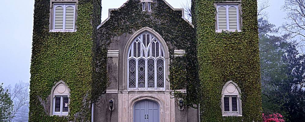 
            Фотография Брютона