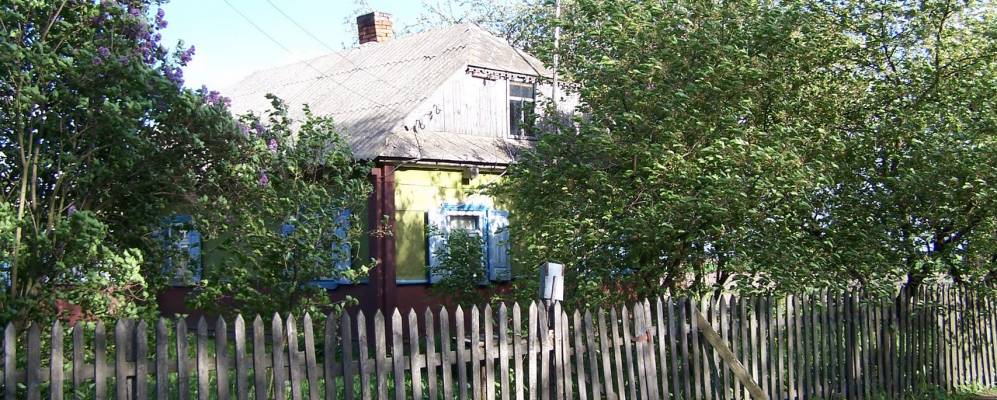 
            Фотография Ниц