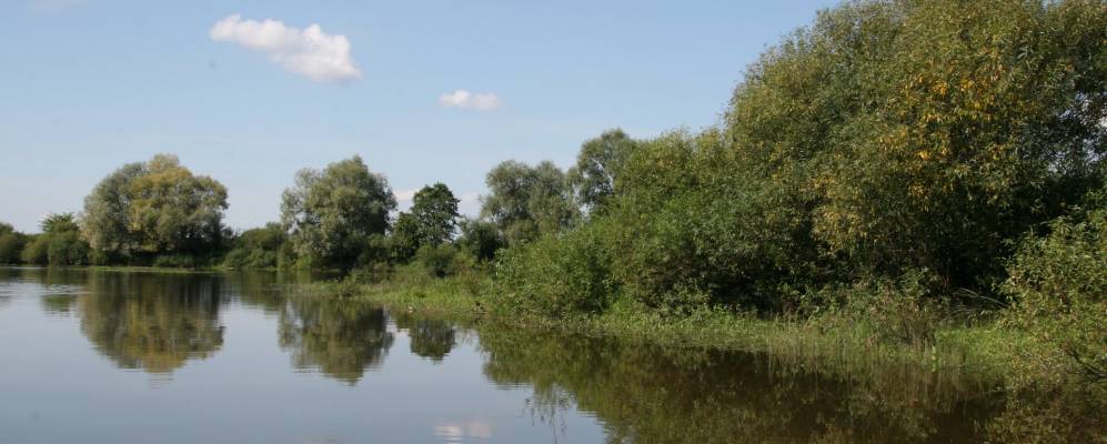 
            Фотография Вищина