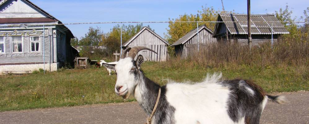 
            Фотография поселка Муравей