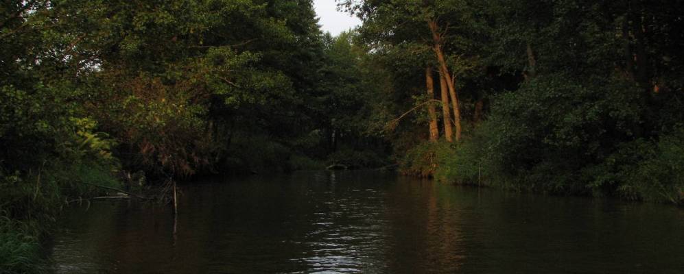 Фотография деревни Галимцы