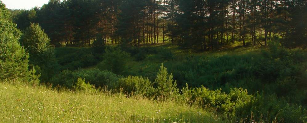 
            Фотография Чубаево