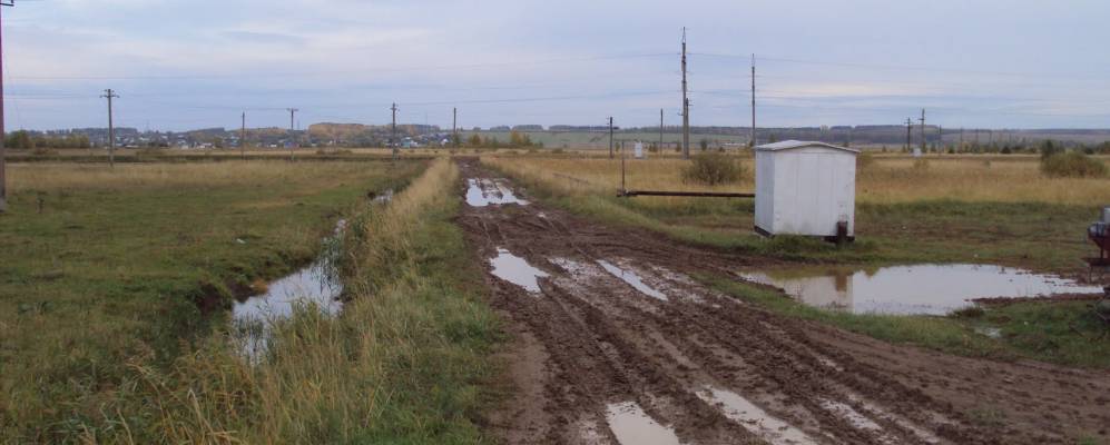 
            Фотография Нового Янзигита