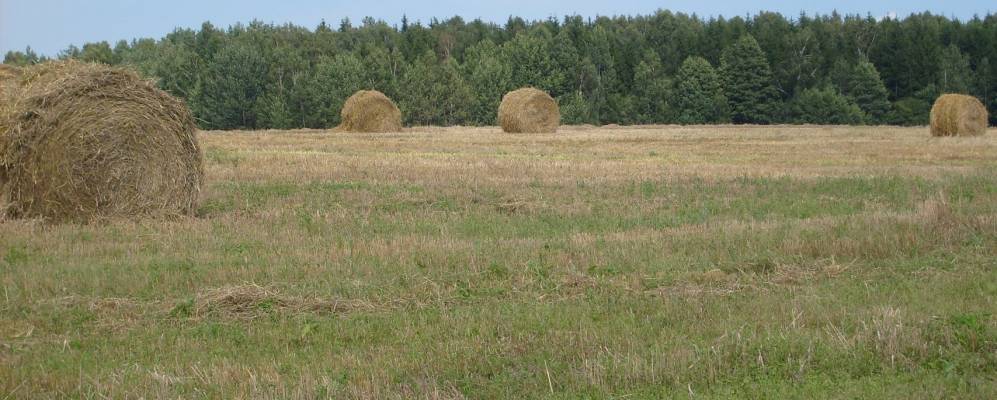 
            Фотография деревни Карбовцы