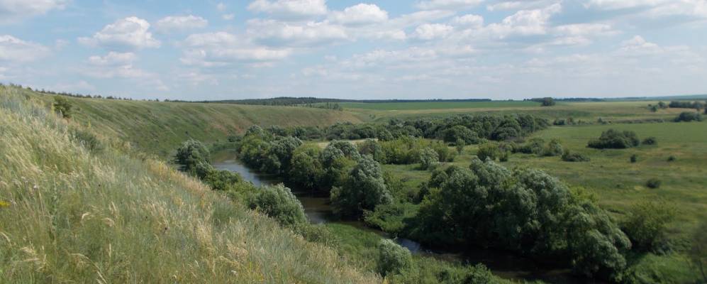 
            Фотография Ольхова Луга