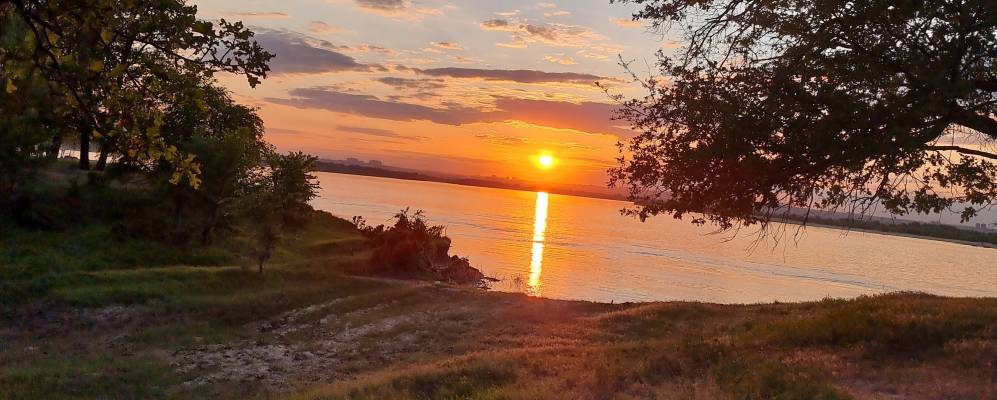 
            Фотография Зайчиков