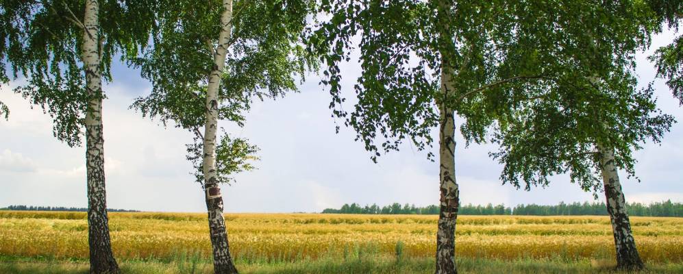 
            Фотография Новой Жизни