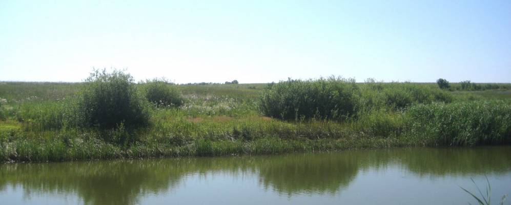 
            Фотография Карагичевского