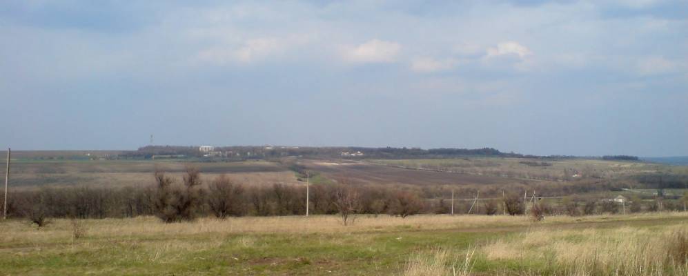 
            Фотография Соснового