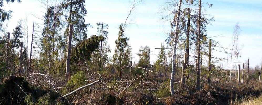 
            Фотография Мологино