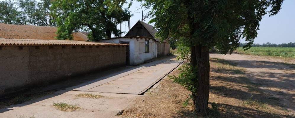 
            Фотография Великой Андроновки