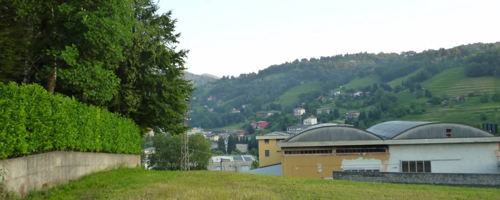 
            Фотография Леффе