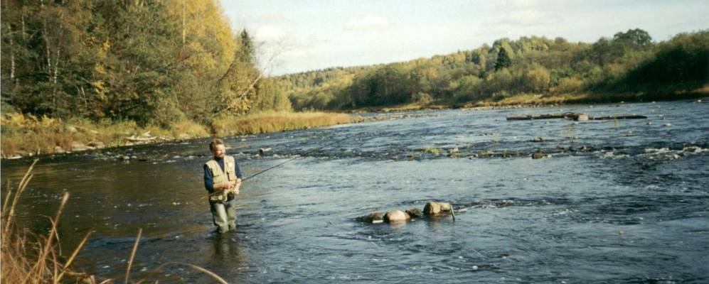 
            Фотография Бора