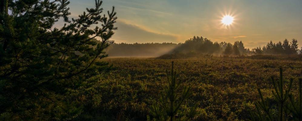Фотография Куркино