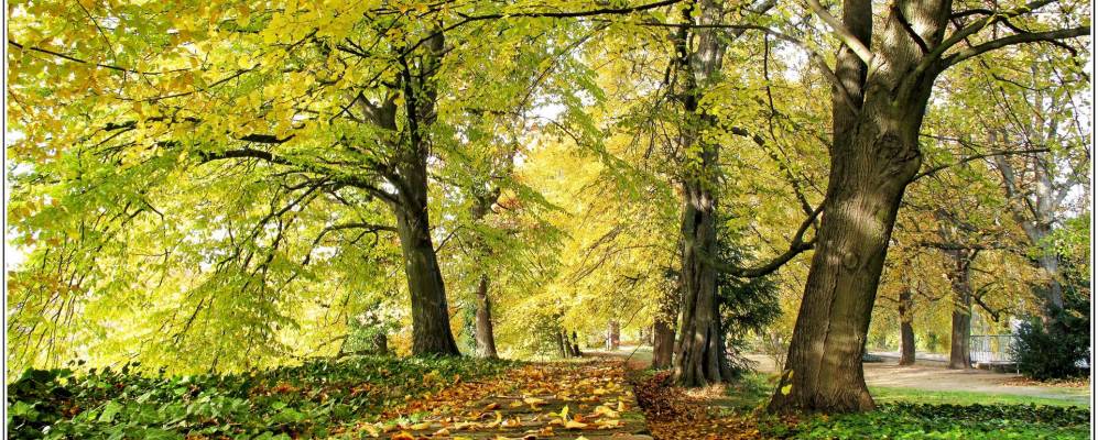 
            Фотография Бад Пирмонта