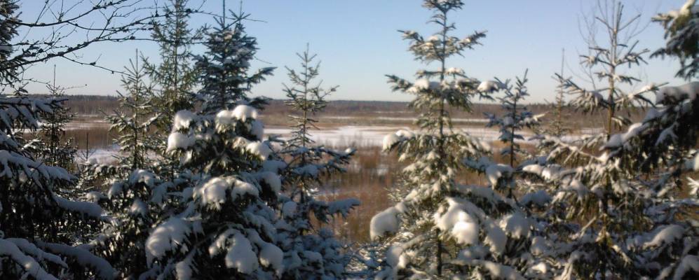 Фотография деревни Ковали