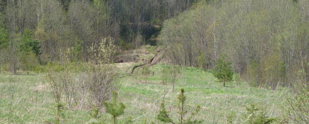 
            Фотография Першково