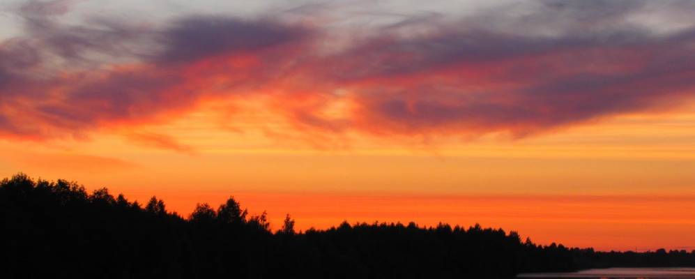 
            Фотография Каргача