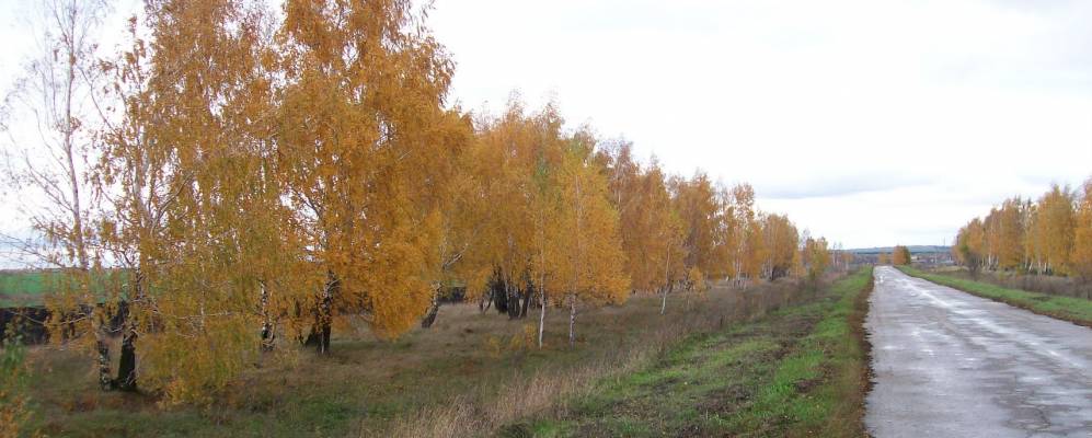 Фотография Пушкино