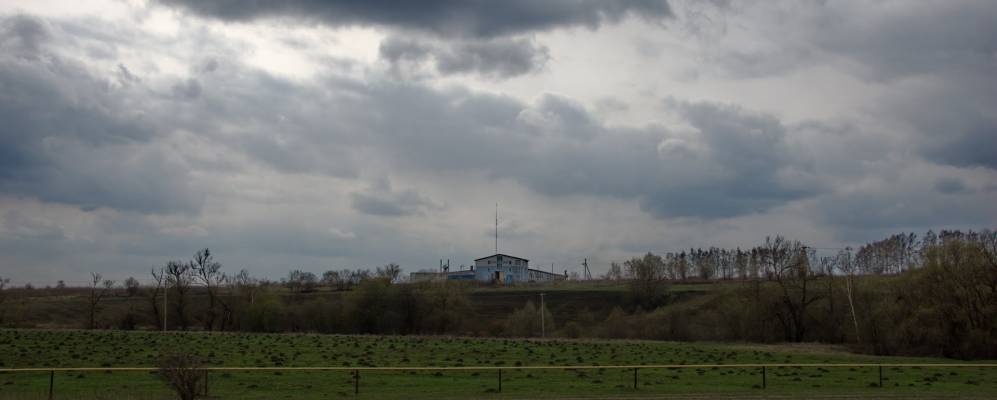 
            Фотография Частого